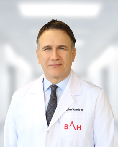 Assoc. Prof. Dr. Muzaffer AL
