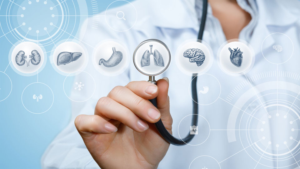 Internal Medicine (Internal Medicine)