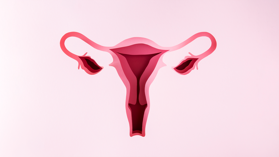 Vaginoplastik