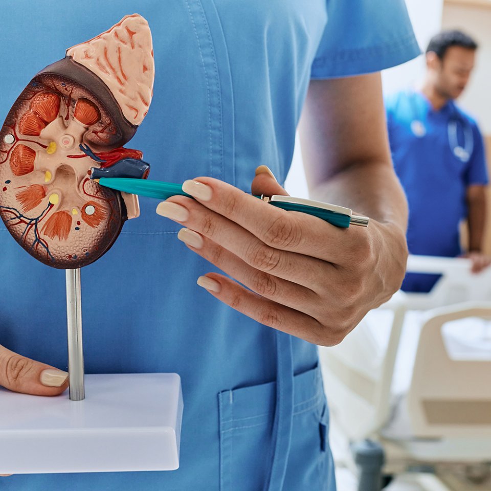 Why is PCNL Surgery Needed?