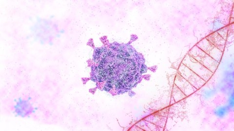 Newest, Most Contagious Covid-19 Variants: BA.4 and BA.5 image 1