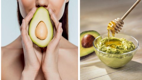 Skin Health Benefits of Avocado image 1