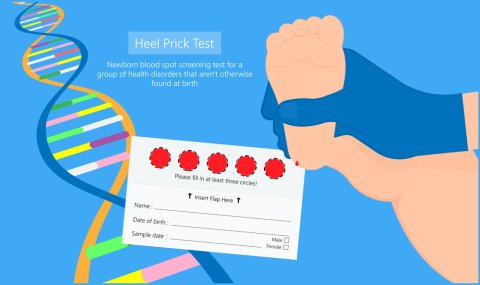 Phenylketonuria: Causes, Symptoms, and Diagnosis image 1