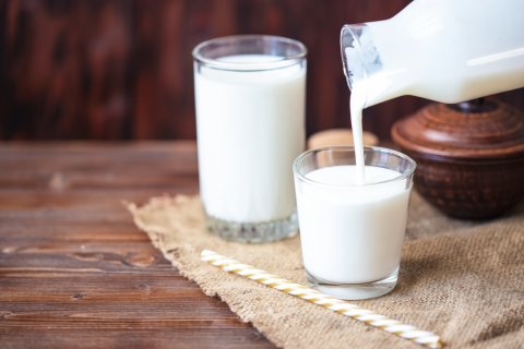 7 Benefits of Gut-Friendly Bacteria (Probiotics) image 1